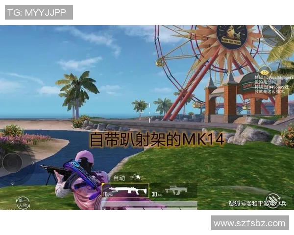 探讨FPX在S15电竞总决赛和平精英中的实力与表现分析